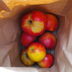 Kinderappels (2 kg)