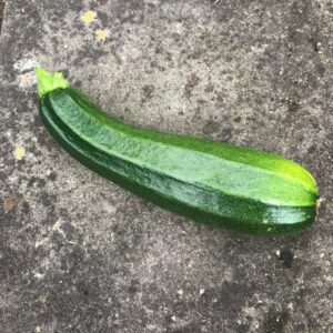 Courgette